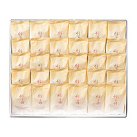 �q�߉��g�M�r�a�����i30���j