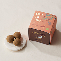 ޗǓX戵iqIerchoco-ne aق