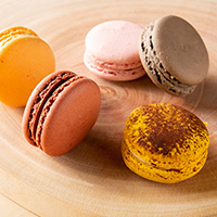 ޗǓX戵iqX[[_Wr}J 5 CZbg